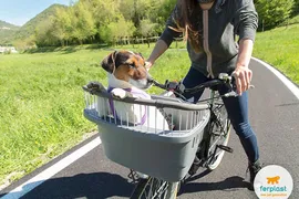 Крепление Для Переноски Ferplast Atlas Bike Rapid для кошек и собак